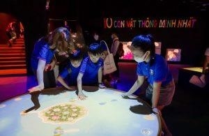 Trại hè Tài năng TDA là một trại hè đặc biệt với sự khác biệt rõ rệt về chất lượng. Ở đây, các em được trải nghiệm những hoạt động đầy sáng tạo và độc đáo, giúp phát triển tài năng của mình. So với các trại hè khác, Trại hè Tài năng TDA mang lại cho các em những trải nghiệm đáng nhớ và bổ ích hơn nhiều.