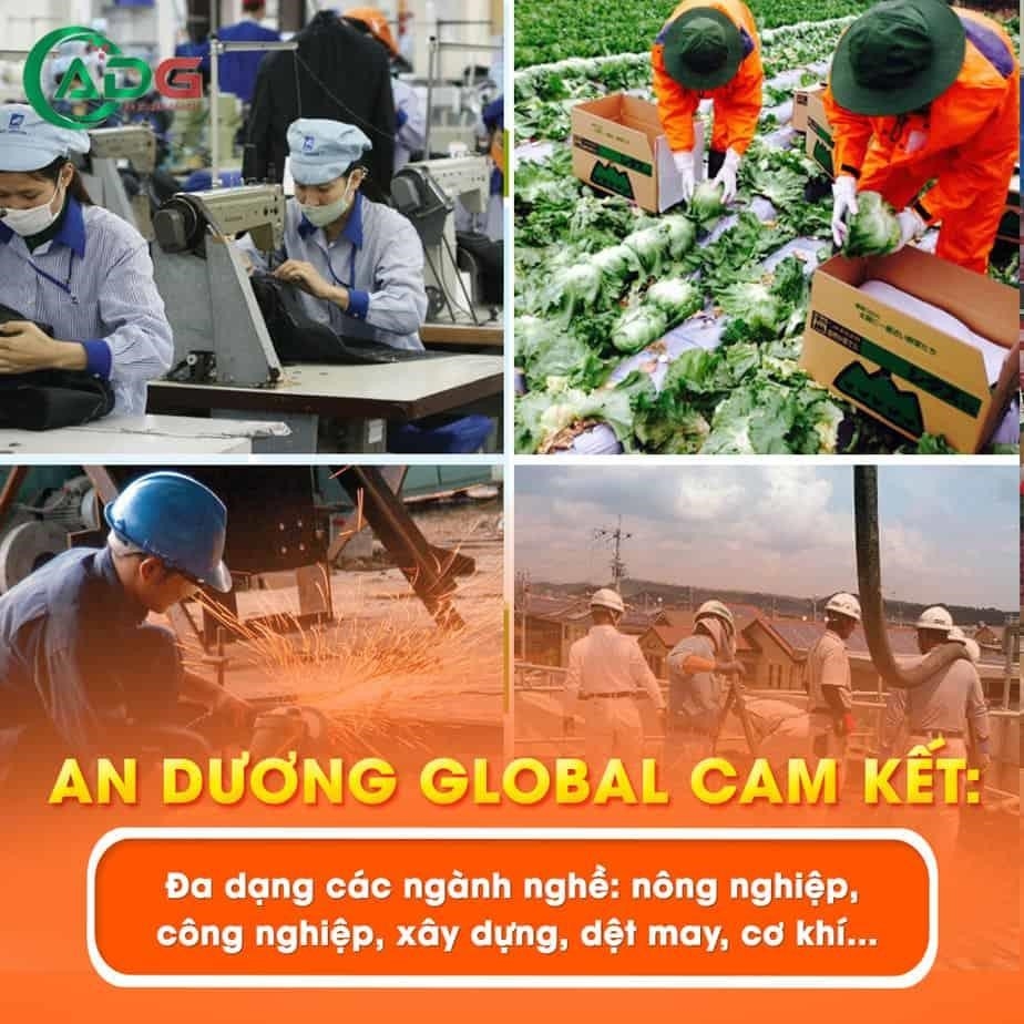 An Dương Global có hơn 10 năm kinh nghiệm trong lĩnh vực xuất khẩu lao động. Chúng tôi tự tin về khả năng cung cấp các dịch vụ chất lượng và đáp ứng nhu cầu của khách hàng.