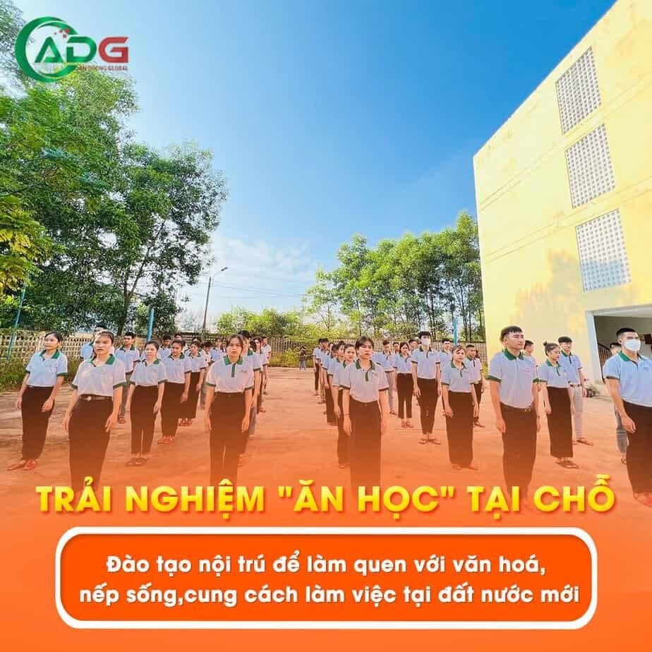 An Dương Global có hơn 10 năm kinh nghiệm trong lĩnh vực xuất khẩu lao động. Chúng tôi tự tin về khả năng cung cấp các dịch vụ chất lượng và đáp ứng nhu cầu của khách hàng.