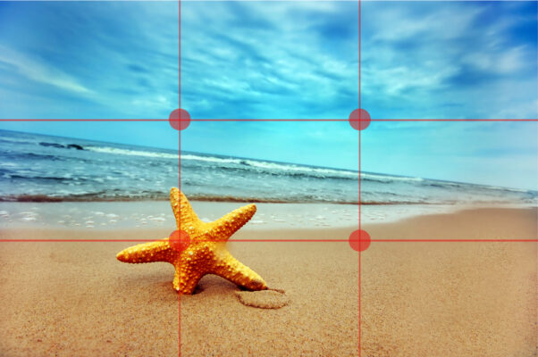 10 tips chụp ảnh bằng điện thoại siêu đẹp 10 tips chụp ảnh bằng điện thoại siêu đẹp