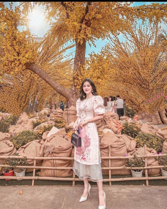 Tạo dáng chụp ảnh áo dài đẹp dịp Tết ở Hà Nội