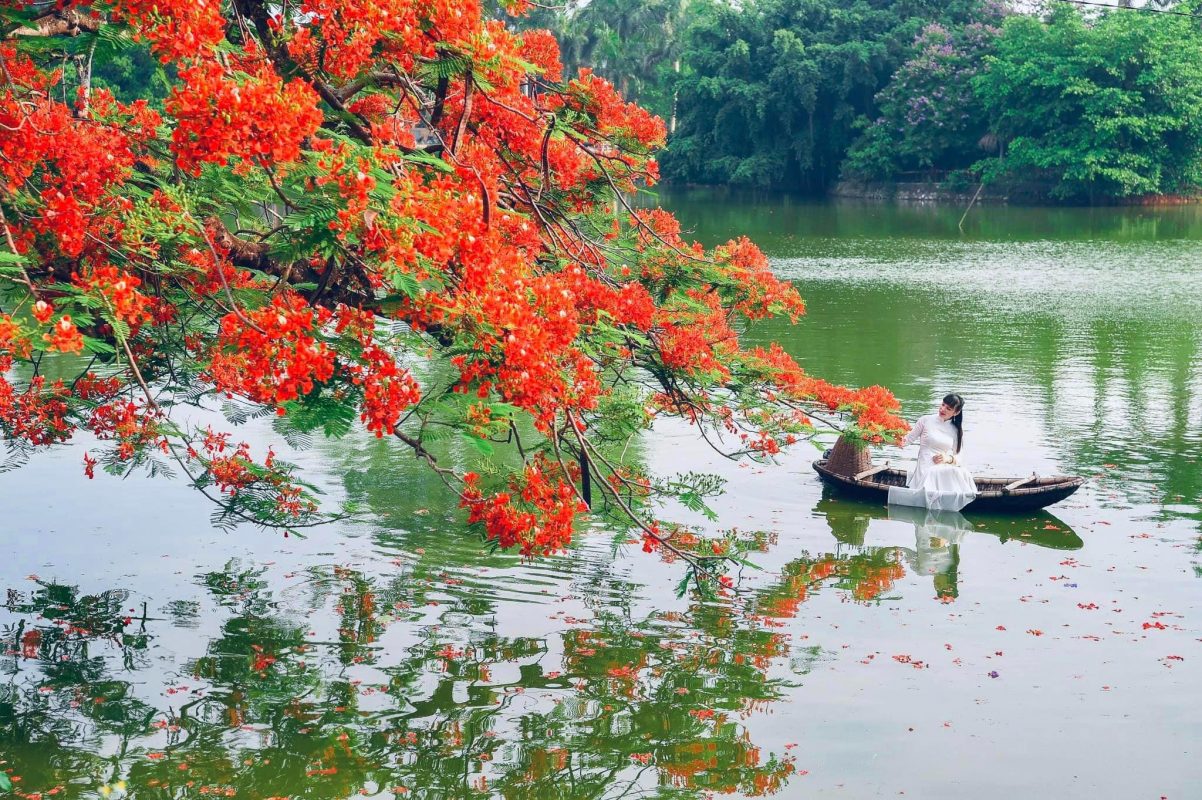 Tạo dáng chụp ảnh áo dài ngoại cảnh 1 người bên cây phượng