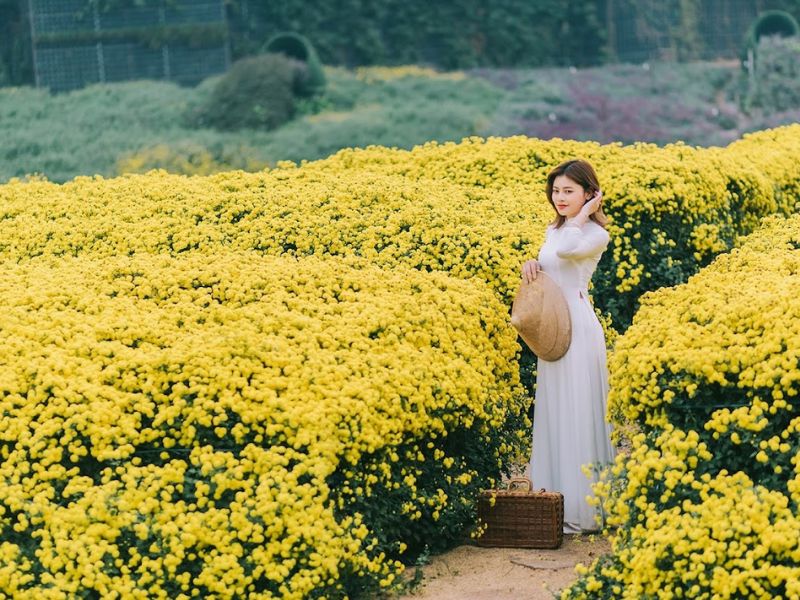 Địa điểm đẹp chụp ảnh Tết tại Hà Nội năm 2025 không thể bỏ qua Địa điểm đẹp chụp ảnh Tết tại Hà Nội năm 2025 không thể bỏ qua