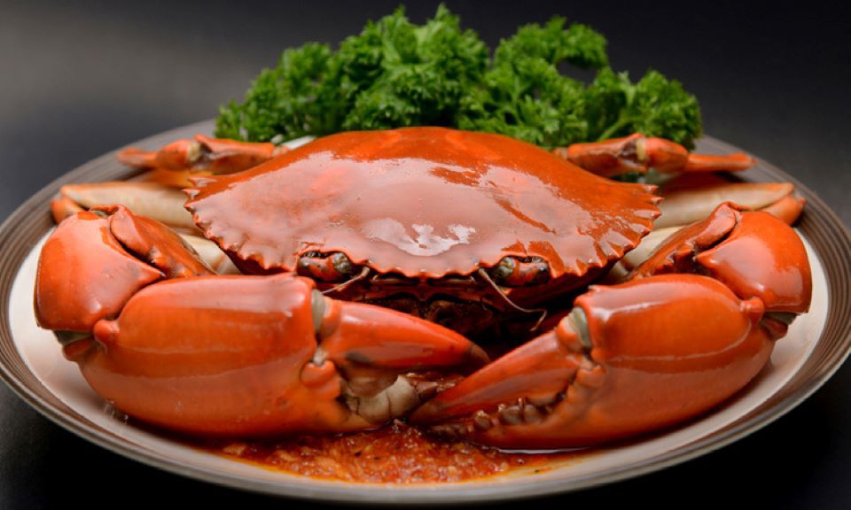 Điểm danh tên nhà hàng hải sản quận 3 với những món ăn siêu ngon Điểm danh tên nhà hàng hải sản quận 3 với những món ăn siêu ngon