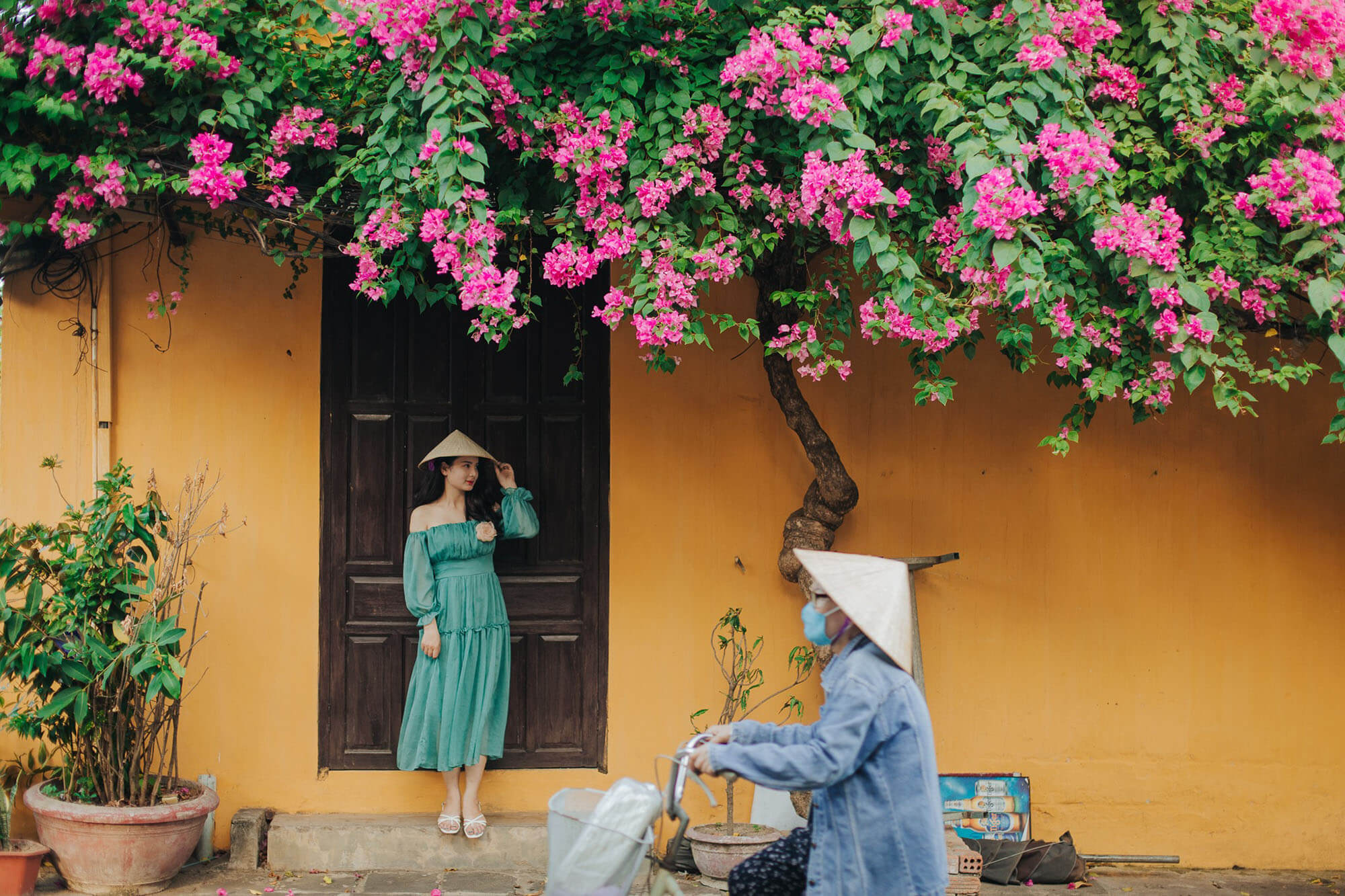 Sở hữu bộ ảnh ấn tượng cùng lavender khi chụp ảnh du lịch tại Hội An Sở hữu bộ ảnh ấn tượng cùng lavender khi chụp ảnh du lịch tại Hội An