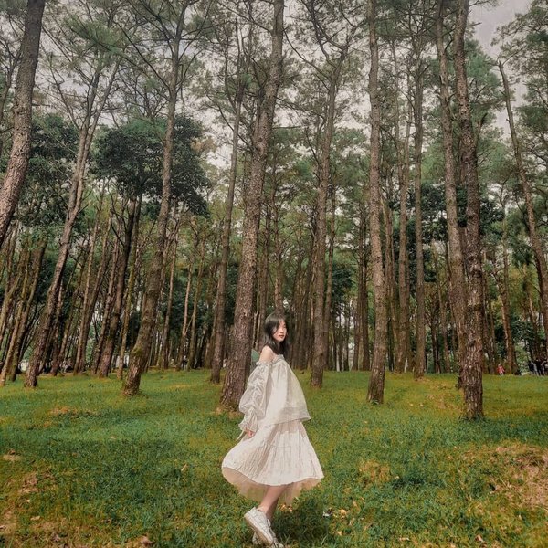 Cách chụp ảnh nghệ thuật: Hướng dẫn chi tiết cho những người yêu thích nhiếp ảnh