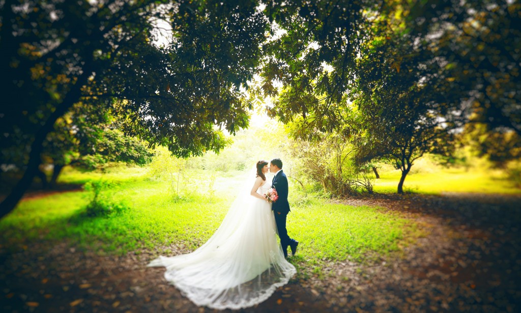 Những lưu ý khi du lịch kết hợp chụp ảnh cưới 2026 bạn cần biết